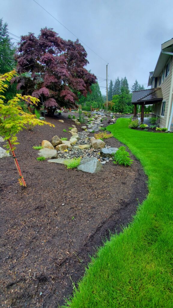 Lawn, soil. trees and planting