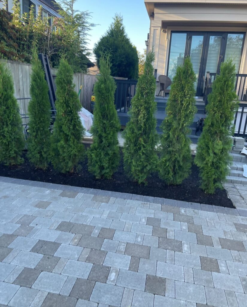 pavingstones and garden design